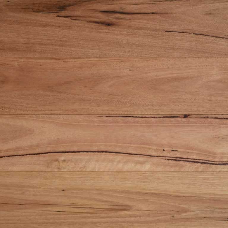 Blackbutt timber grain sample for custom furniture and joinery